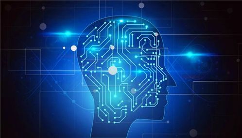 教育部支持七專業 計算機軟件技術開發能否成為熱門？